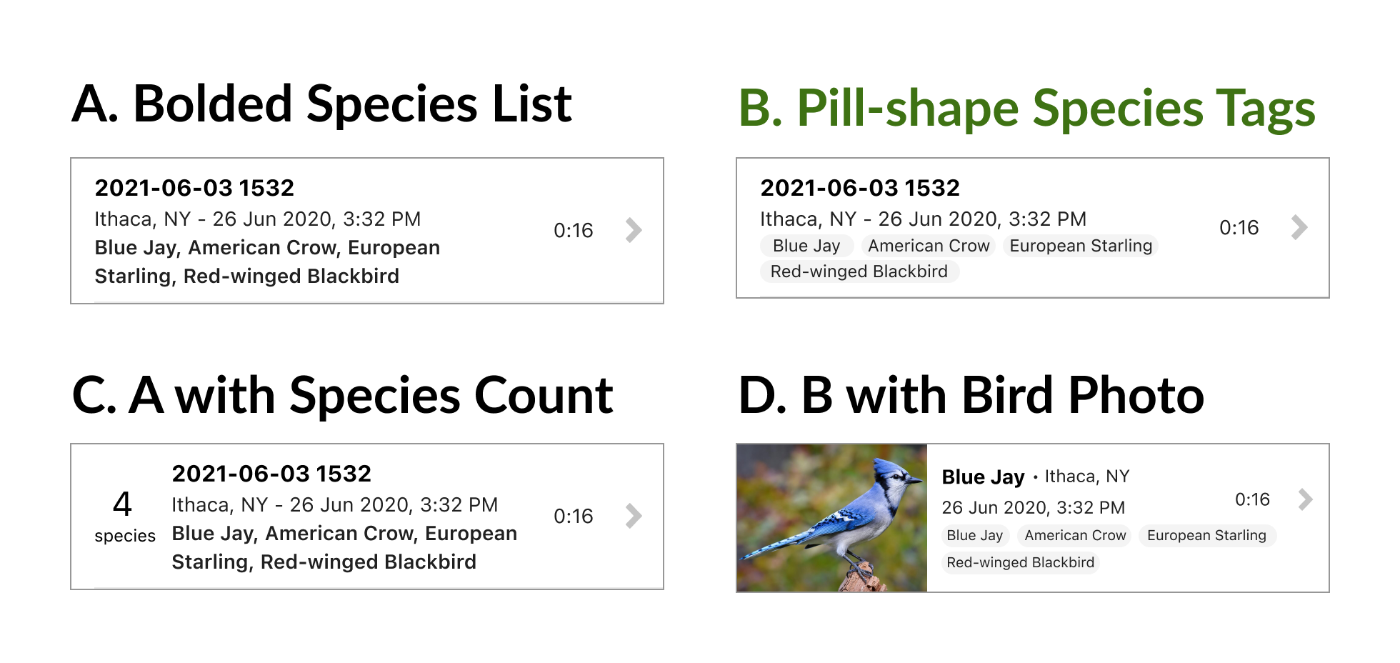 Recording file with species explorations