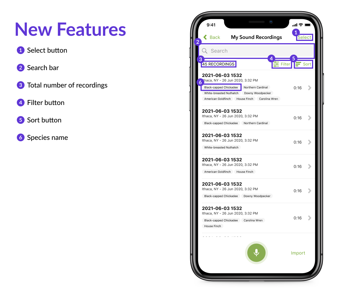 Merlin Sound Recordings screen after redesign